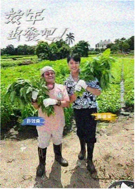 在线观看完整版免费 奔跑吧